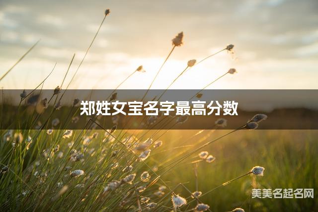 郑姓女宝名字最高分数