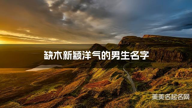 缺木新颖洋气的男生名字 有气质的宝宝名字大全