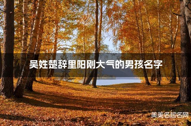 吴姓楚辞里阳刚大气的男孩名字 吴姓楚辞里阳刚大气的男孩名字