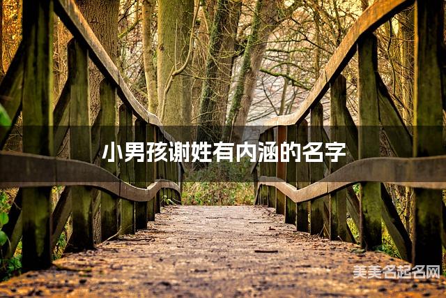 小男孩谢姓有内涵的名字