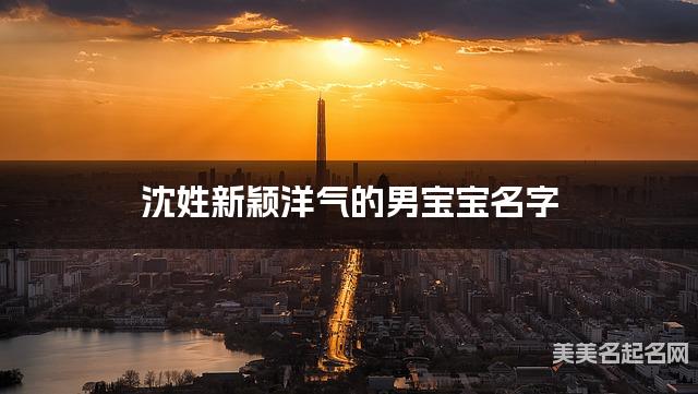 沈姓新颖洋气的男宝宝名字