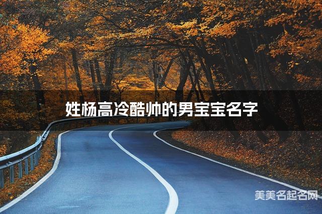 姓杨高冷酷帅的男宝宝名字
