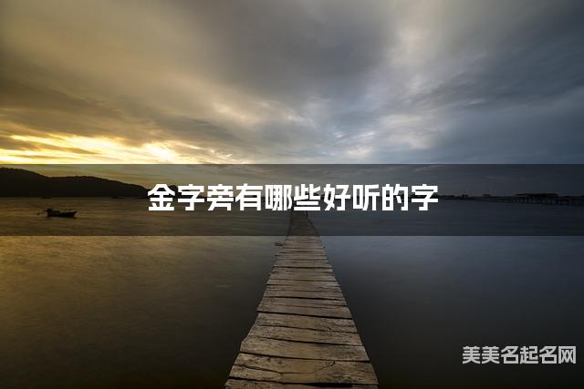 金字旁有哪些好听的字，金字旁的字女生起名字