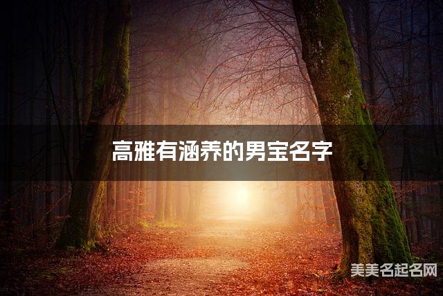 高雅有涵养的男宝名字（299个最新）