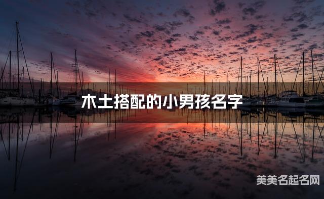 木土搭配的小男孩名字 小男孩稀有好听的名字