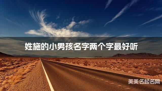 姓施的小男孩名字两个字最好听