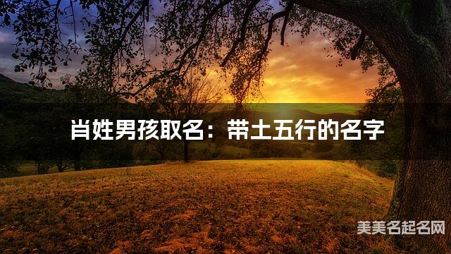 肖姓男孩取名：带土五行的名字（有诗意）