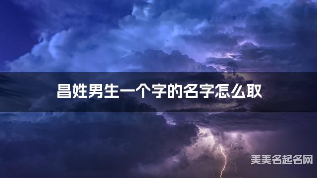 昌姓男生一个字的名字怎么取 有创意的宝宝单字名大全