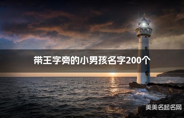 带王字旁的小男孩名字200个