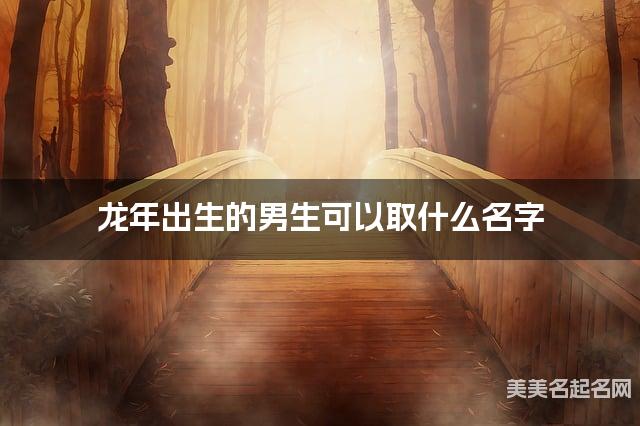 龙年出生的男生可以取什么名字（有寓意）