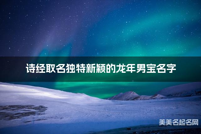 诗经取名独特新颖的龙年男宝名字