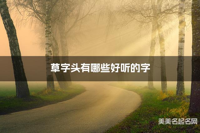 草字头有哪些好听的字，草字头的字女宝起名字
