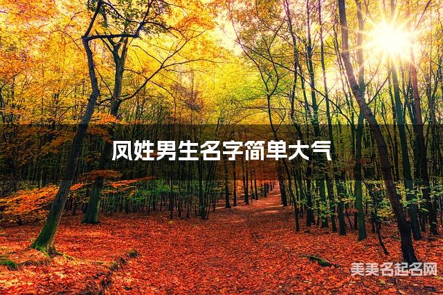 凤姓男生名字简单大气