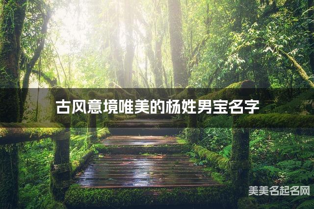 古风意境唯美的杨姓男宝名字