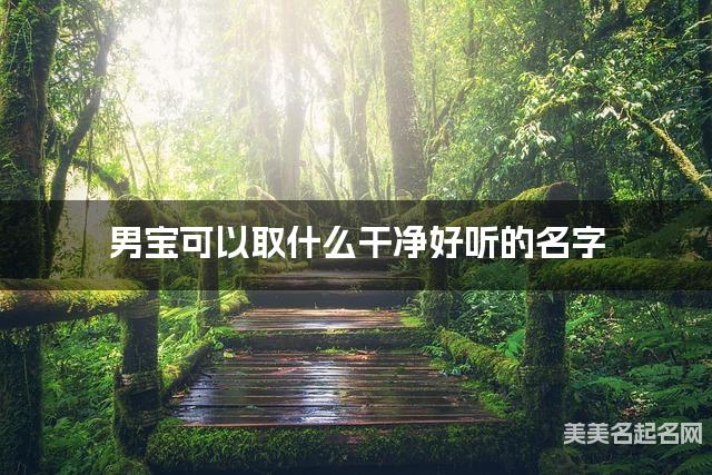 男宝可以取什么干净好听的名字