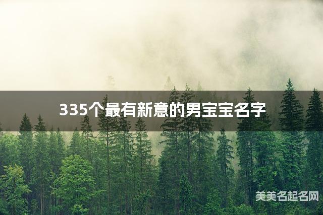 335个最有新意的男宝宝名字 宝宝免费取名大全