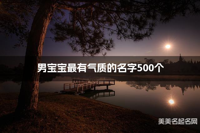 男宝宝最有气质的名字500个