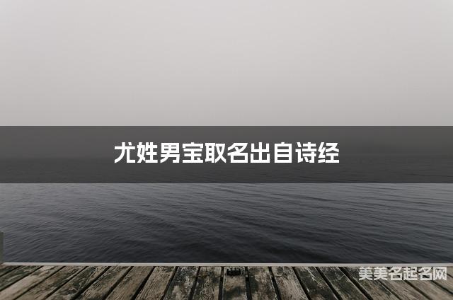 尤姓男宝取名出自诗经