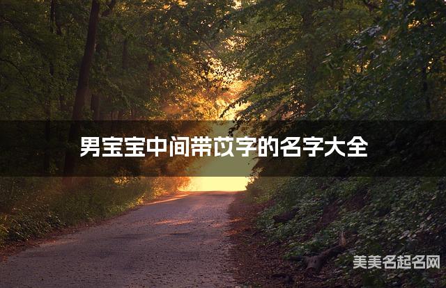 男宝宝中间带苡字的名字大全