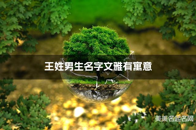 王姓男生名字文雅有寓意