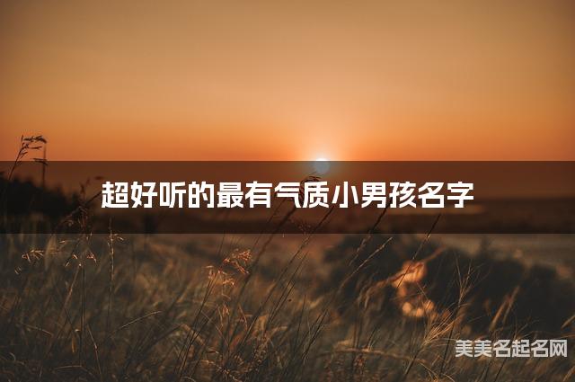 超好听的最有气质小男孩名字  有含义的宝宝名字大全