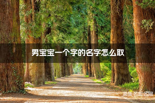 男宝宝一个字的名字怎么取 有含义的宝宝单字名大全