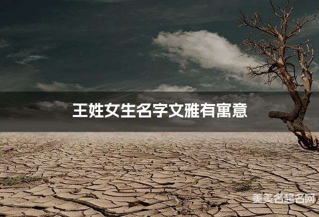 王姓女生名字文雅有寓意