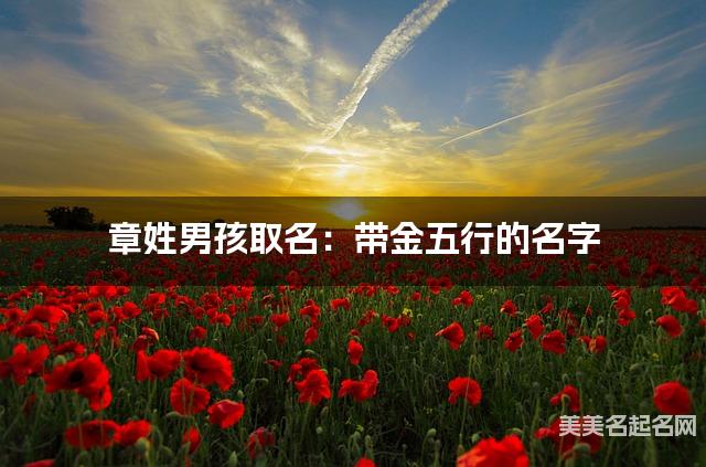 章姓男孩取名：带金五行的名字（有含义）