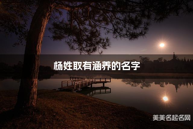 杨姓取有涵养的名字，杨姓男生高端名字