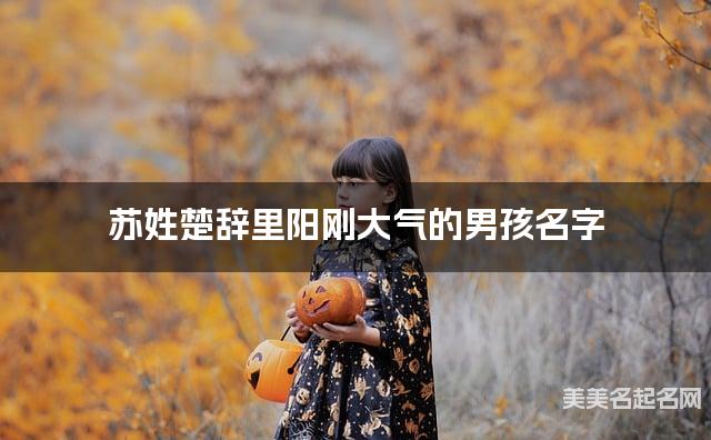 苏姓楚辞里阳刚大气的男孩名字