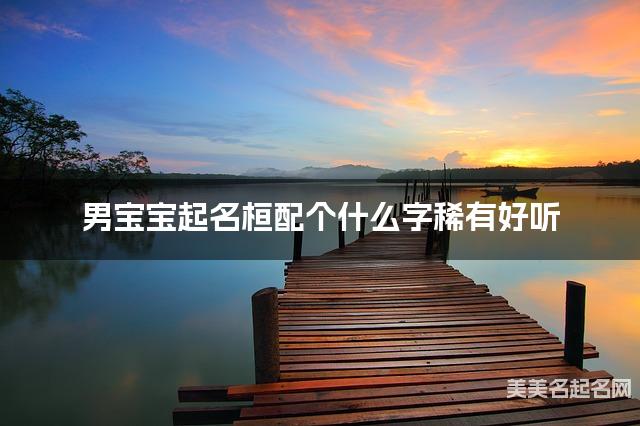 男宝宝起名桓配个什么字稀有好听