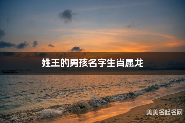 姓王的男孩名字生肖属龙 有含义的宝宝名字大全