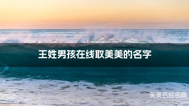 王姓男孩在线取美美的名字