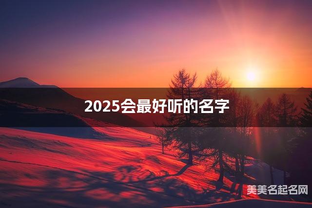 2025会最好听的名字（秦姓男生）