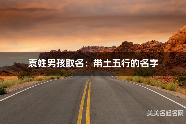 袁姓男孩取名：带土五行的名字（有寓意）