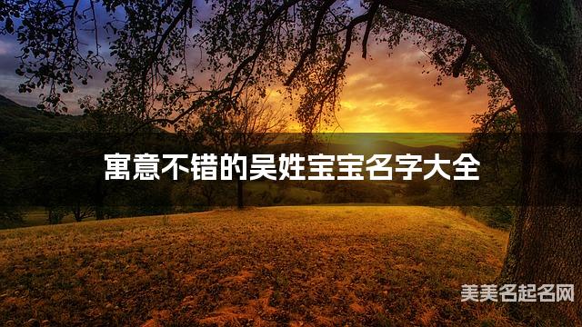 寓意不错的吴姓宝宝名字大全