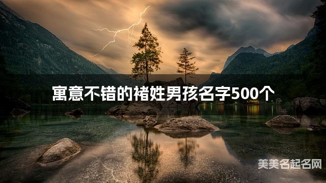 寓意不错的褚姓男孩名字500个