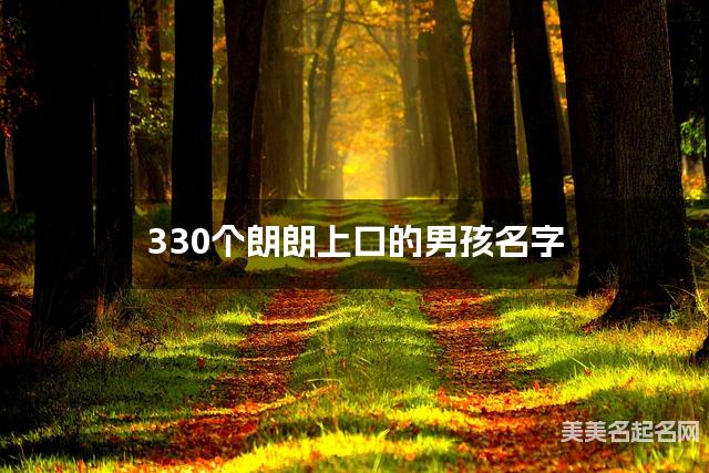 330个朗朗上口的男孩名字