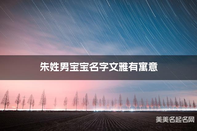 朱姓男宝宝名字文雅有寓意