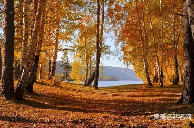 华姓聪明有出息的男孩名字100分