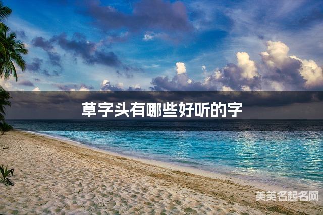 草字头有哪些好听的字，草字头的字宝宝起名字