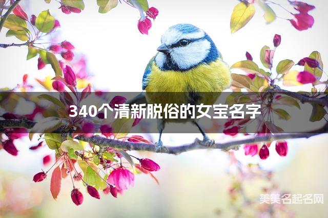 340个清新脱俗的女宝名字