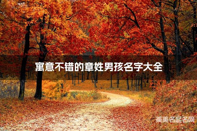 寓意不错的章姓男孩名字大全