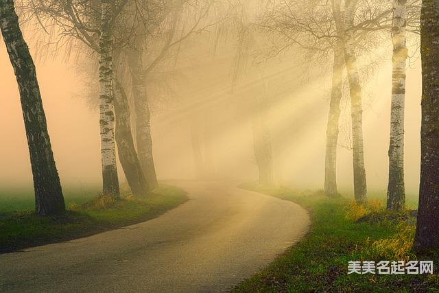 2024龙宝宝年新生儿五行缺木取名用什么字，推荐好听的男宝名字