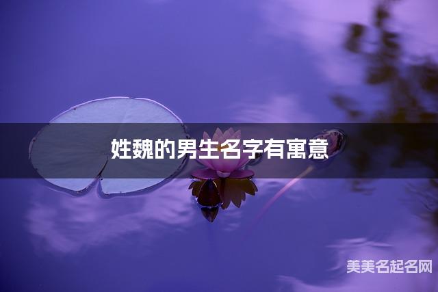 姓魏的男生名字有寓意