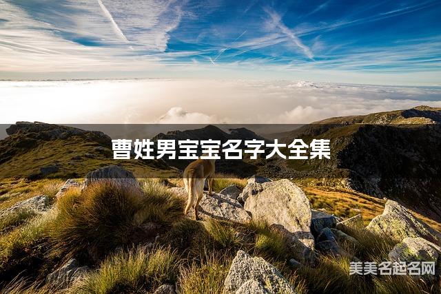 曹姓男宝宝名字大全集（简单顺口300个）