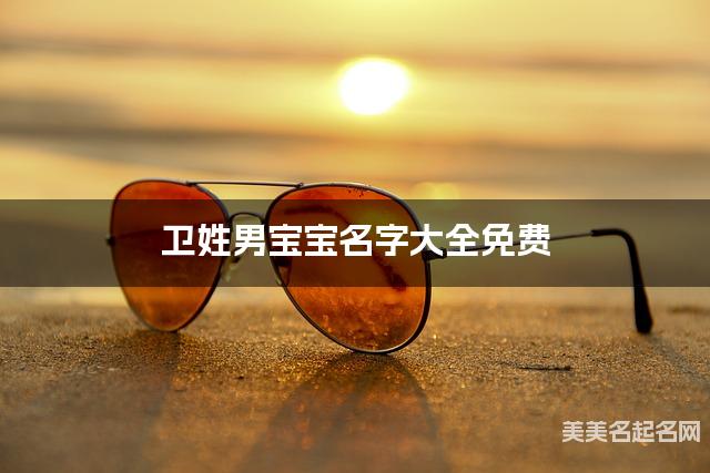 卫姓男宝宝名字大全免费 有新意的名字