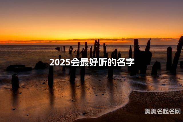 2025会最好听的名字（苏姓男生）