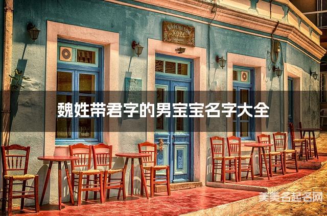 魏姓带君字的男宝宝名字大全