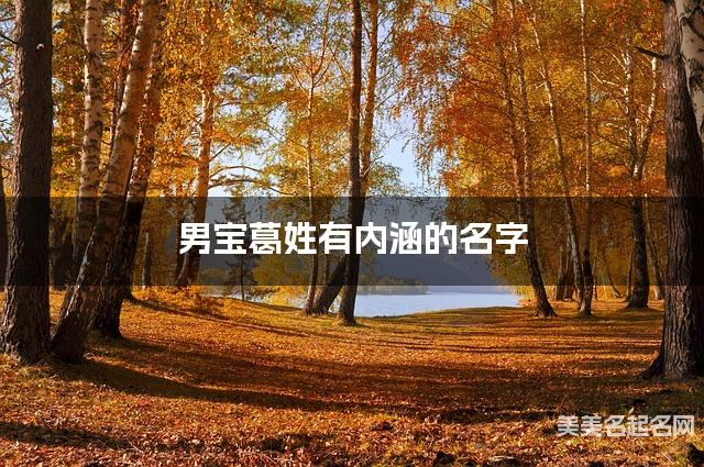 男宝葛姓有内涵的名字